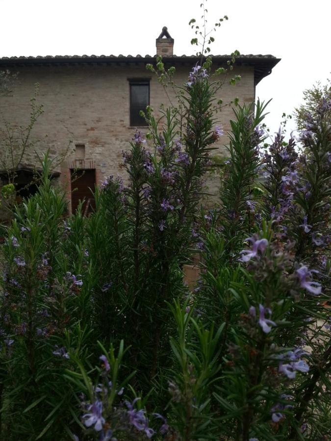 Agriturismo Il Poggio Degli Scoiattoli Perugia Exterior foto